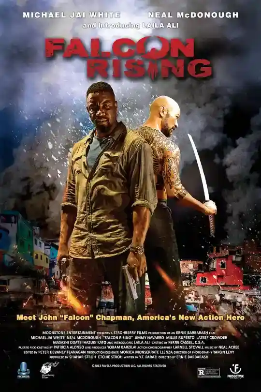 Falcon Rising (2014) Dual Audio Hindi Full Movie Blu-Ray
